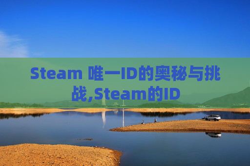Steam 唯一ID的奥秘与挑战,Steam的ID
