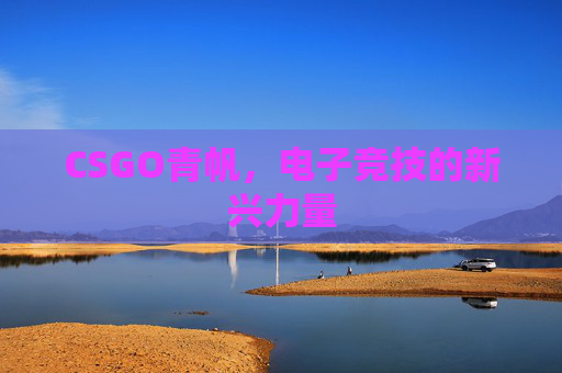 CSGO青帆，电子竞技的新兴力量