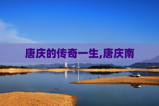 唐庆的传奇一生,唐庆南