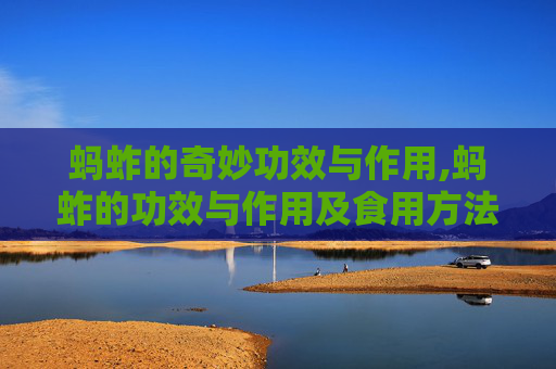 蚂蚱的奇妙功效与作用,蚂蚱的功效与作用及食用方法