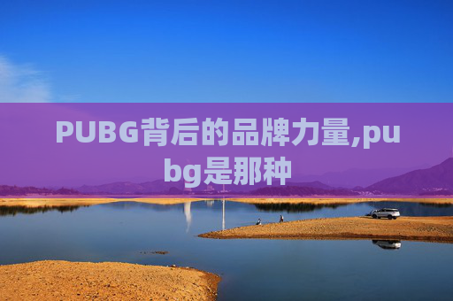 PUBG背后的品牌力量,pubg是那种 PUBG背后的品牌力量,pubg是那种
