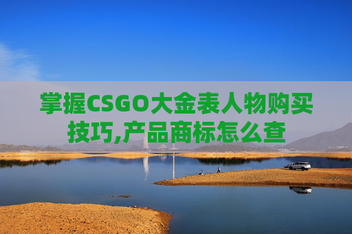 掌握CSGO大金表人物购买技巧,产品商标怎么查 掌握CSGO大金表人物购买技巧,产品商标怎么查