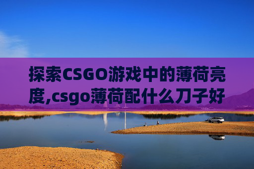 探索CSGO游戏中的薄荷亮度,csgo薄荷配什么刀子好看 探索CSGO游戏中的薄荷亮度,csgo薄荷配什么刀子好看