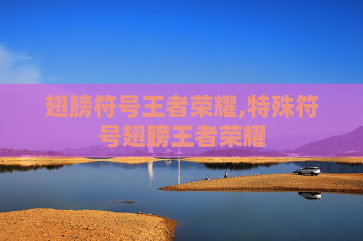 翅膀符号王者荣耀,特殊符号翅膀王者荣耀