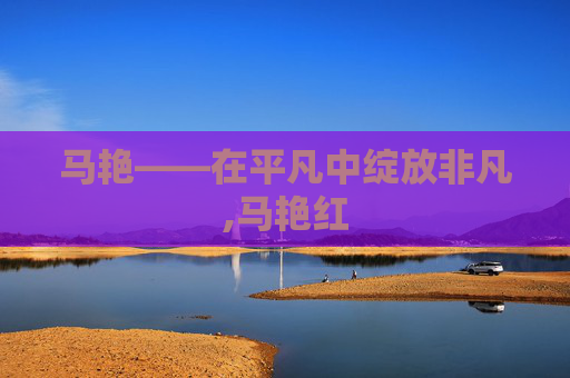 马艳——在平凡中绽放非凡,马艳红