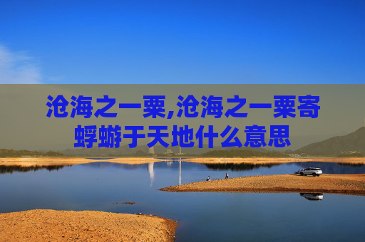 沧海之一粟,沧海之一粟寄蜉蝣于天地什么意思