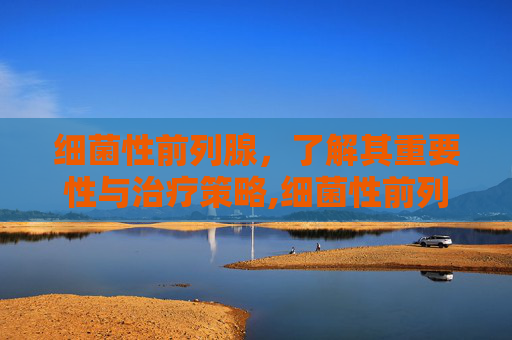 细菌性前列腺，了解其重要性与治疗策略,细菌性前列腺炎