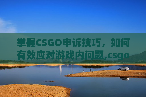 掌握CSGO申诉技巧，如何有效应对游戏内问题,csgo封号怎么申诉