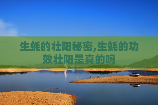 生蚝的壮阳秘密,生蚝的功效壮阳是真的吗 生蚝的壮阳秘密,生蚝的功效壮阳是真的吗
