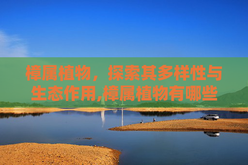 樟属植物，探索其多样性与生态作用,樟属植物有哪些