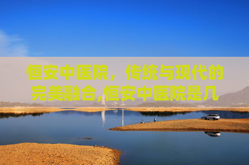 恒安中医院，传统与现代的完美融合,恒安中医院是几级医院