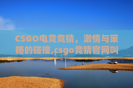 CSGO电竞竞猜，激情与策略的碰撞,csgo竞猜官网叫什么