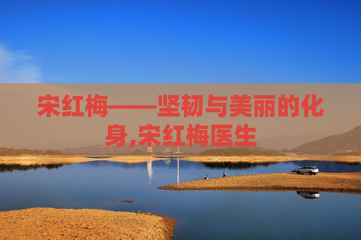宋红梅——坚韧与美丽的化身,宋红梅医生
