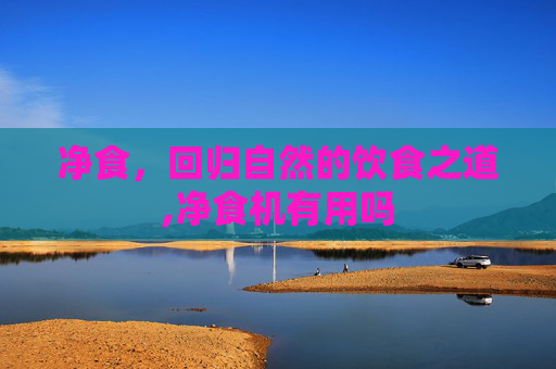 净食，回归自然的饮食之道,净食机有用吗