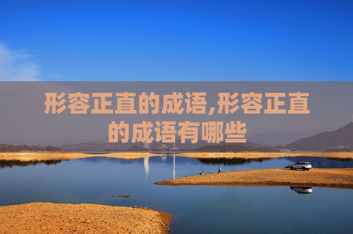 形容正直的成语,形容正直的成语有哪些