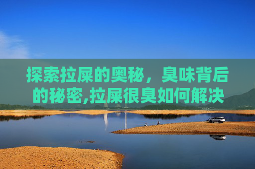 探索拉屎的奥秘，臭味背后的秘密,拉屎很臭如何解决
