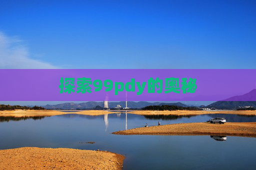 探索99pdy的奥秘
