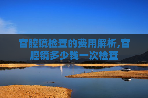 宫腔镜检查的费用解析,宫腔镜多少钱一次检查