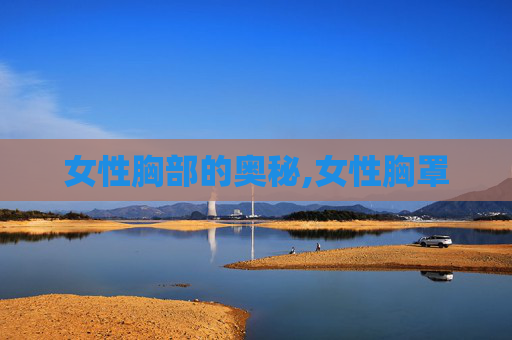女性胸部的奥秘,女性胸罩