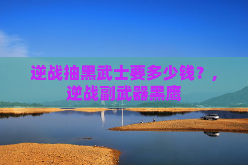 逆战抽黑武士要多少钱？,逆战副武器黑鹰