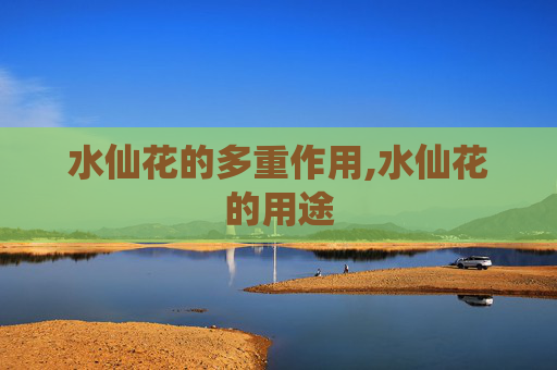 水仙花的多重作用,水仙花的用途