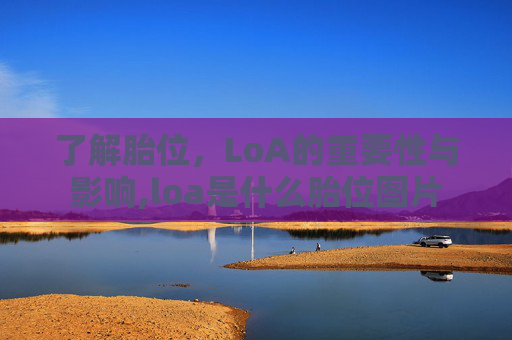 了解胎位，LoA的重要性与影响,loa是什么胎位图片