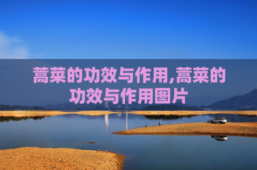 蒿菜的功效与作用,蒿菜的功效与作用图片