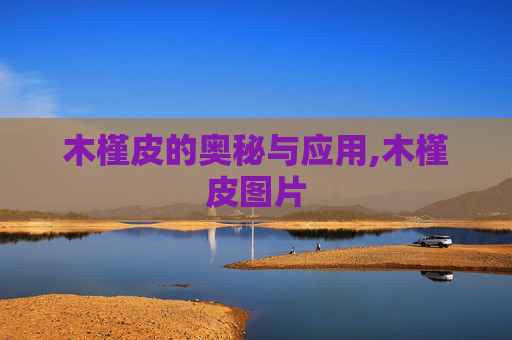 木槿皮的奥秘与应用,木槿皮图片