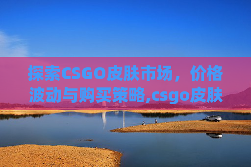 探索CSGO皮肤市场，价格波动与购买策略,csgo皮肤id怎么看