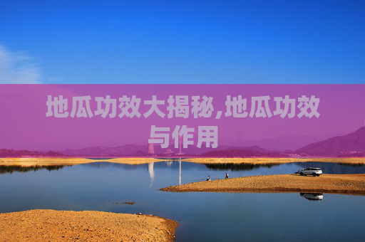 地瓜功效大揭秘,地瓜功效与作用