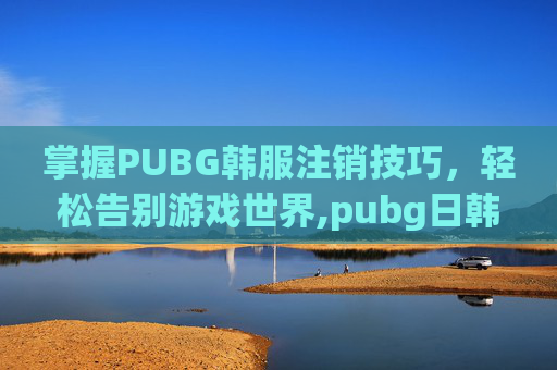 掌握PUBG韩服注销技巧，轻松告别游戏世界,pubg日韩服账号