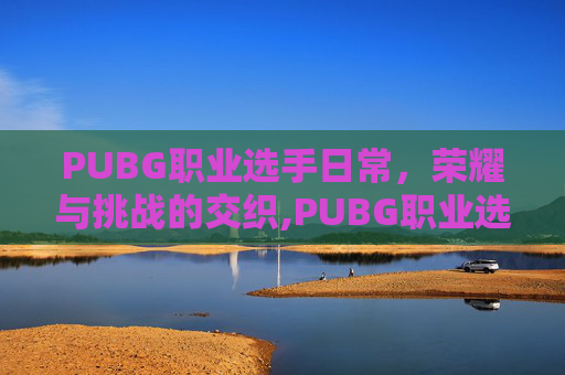 PUBG职业选手日常，荣耀与挑战的交织,PUBG职业选手名单大全