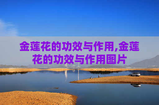 金莲花的功效与作用,金莲花的功效与作用图片