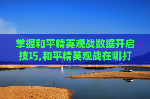 掌握和平精英观战数据开启技巧,和平精英观战在哪打开