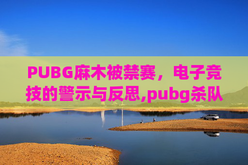 PUBG麻木被禁赛，电子竞技的警示与反思,pubg杀队友禁赛多久