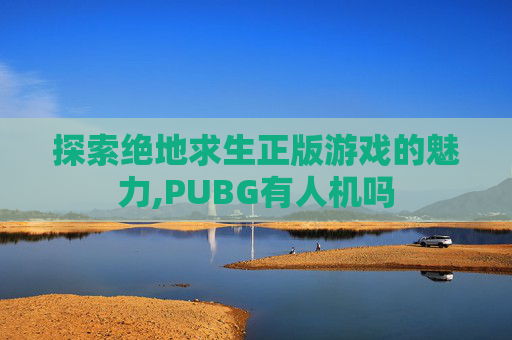 探索绝地求生正版游戏的魅力,PUBG有人机吗