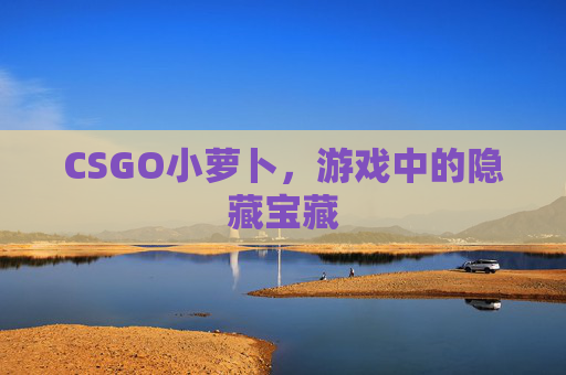 CSGO小萝卜，游戏中的隐藏宝藏
