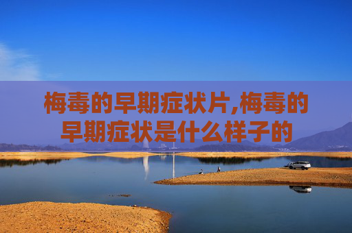 梅毒的早期症状片,梅毒的早期症状是什么样子的