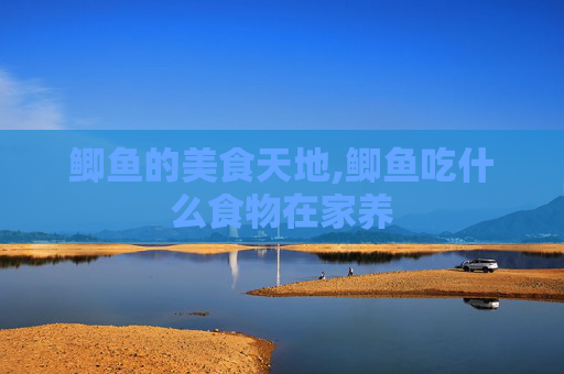 鲫鱼的美食天地,鲫鱼吃什么食物在家养 鲫鱼的美食天地,鲫鱼吃什么食物在家养