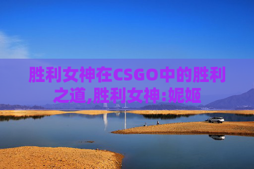 胜利女神在CSGO中的胜利之道,胜利女神:妮姬