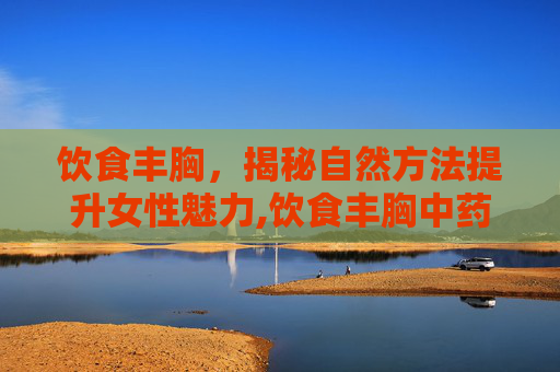 饮食丰胸，揭秘自然方法提升女性魅力,饮食丰胸中药配方
