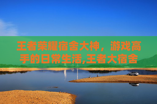 王者荣耀宿舍大神，游戏高手的日常生活,王者大宿舍百科