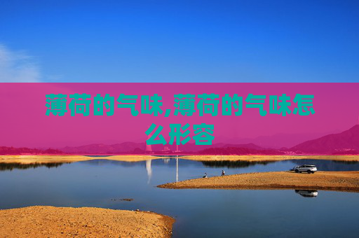 薄荷的气味,薄荷的气味怎么形容