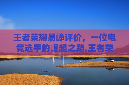 王者荣耀易峥评价，一位电竞选手的崛起之路,王者荣耀峥峥评价