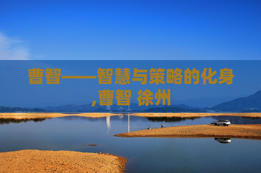 曹智——智慧与策略的化身,曹智 徐州