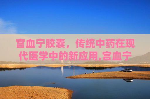 宫血宁胶囊,传统中药在现代医学中的新应用,宫血宁胶囊说明书 宫血宁胶囊,传统中药在现代医学中的新应用,宫血宁胶囊说明书