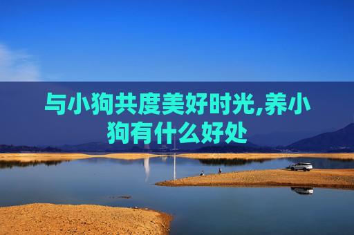 与小狗共度美好时光,养小狗有什么好处 与小狗共度美好时光,养小狗有什么好处