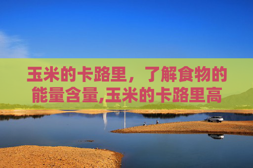 玉米的卡路里,了解食物的能量含量,玉米的卡路里高吗 玉米的卡路里,了解食物的能量含量,玉米的卡路里高吗