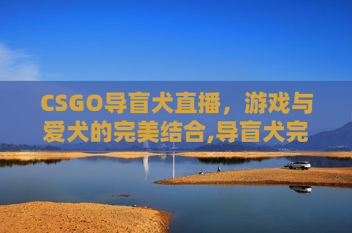 CSGO导盲犬直播，游戏与爱犬的完美结合,导盲犬完整版