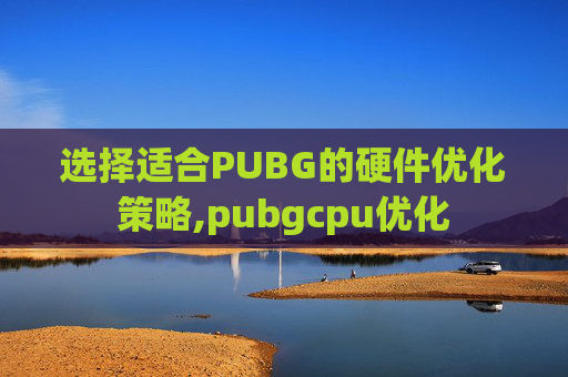 选择适合PUBG的硬件优化策略,pubgcpu优化